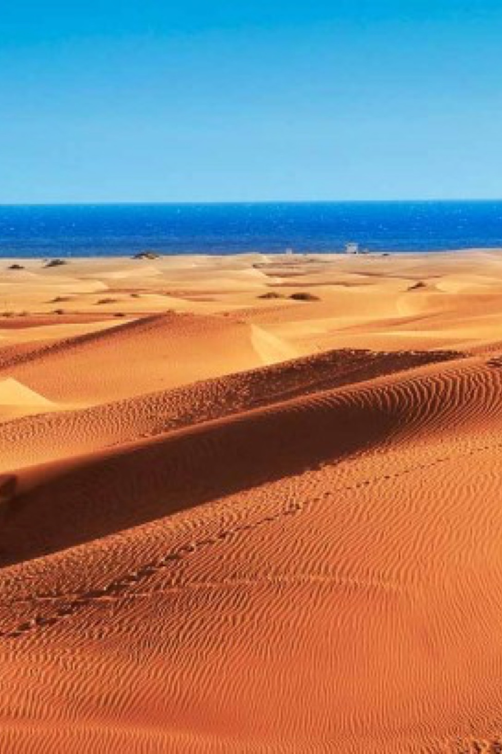 Maspalomas dunas