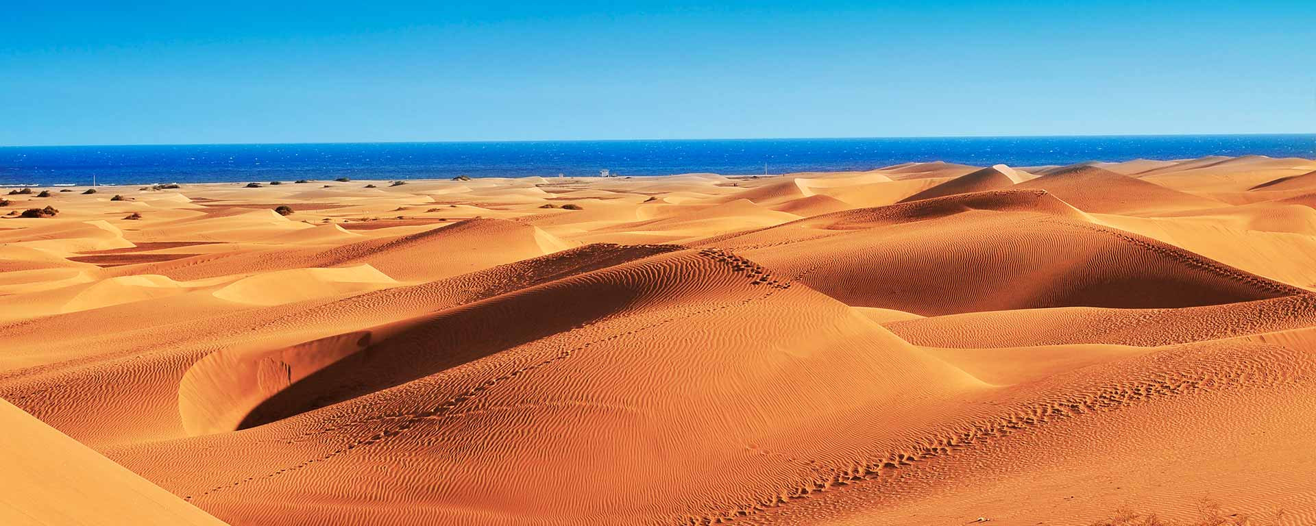 Dunas de Maspalomas en Gran Canaria